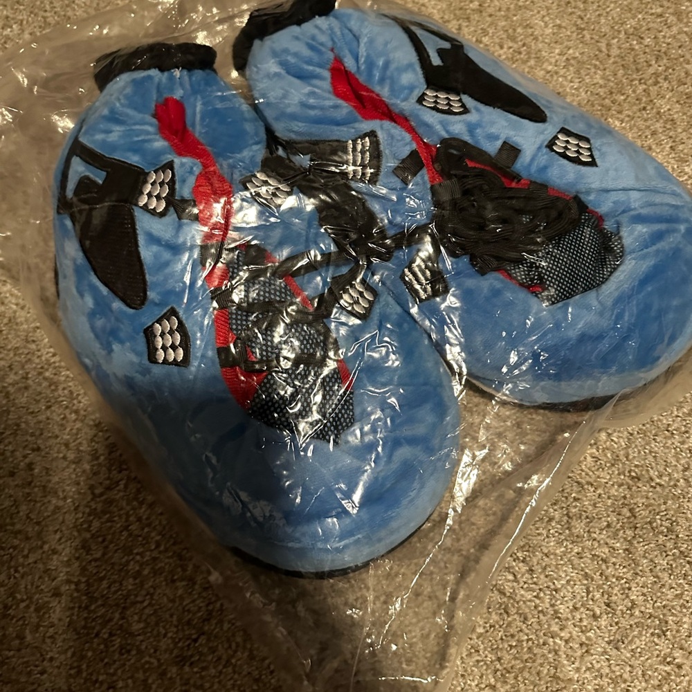 Jordan big slippers